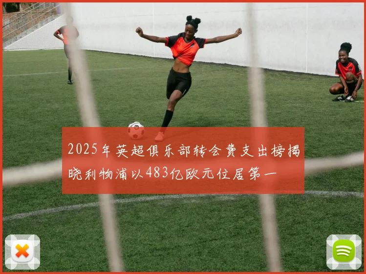 2025年英超俱乐部转会费支出榜揭晓利物浦以483亿欧元位居第一
