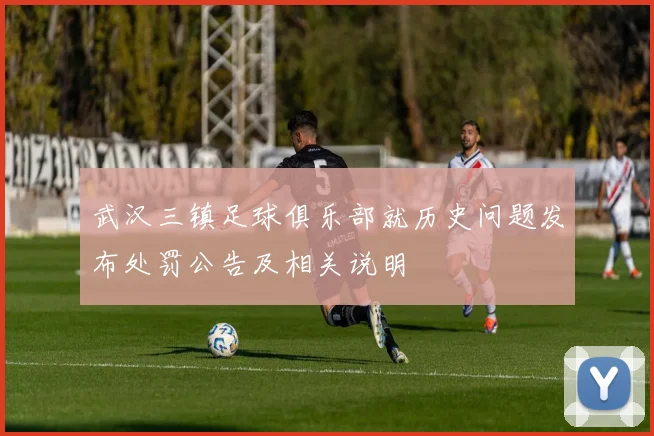 武汉三镇足球俱乐部就历史问题发布处罚公告及相关说明