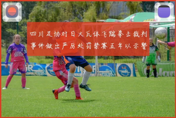 四川足协对日火瓦体飞踹拳击裁判事件做出严厉处罚禁赛五年以示警戒