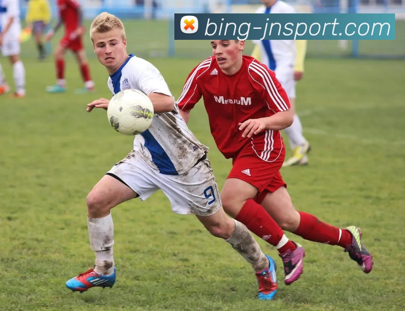 江南体育平台生态图